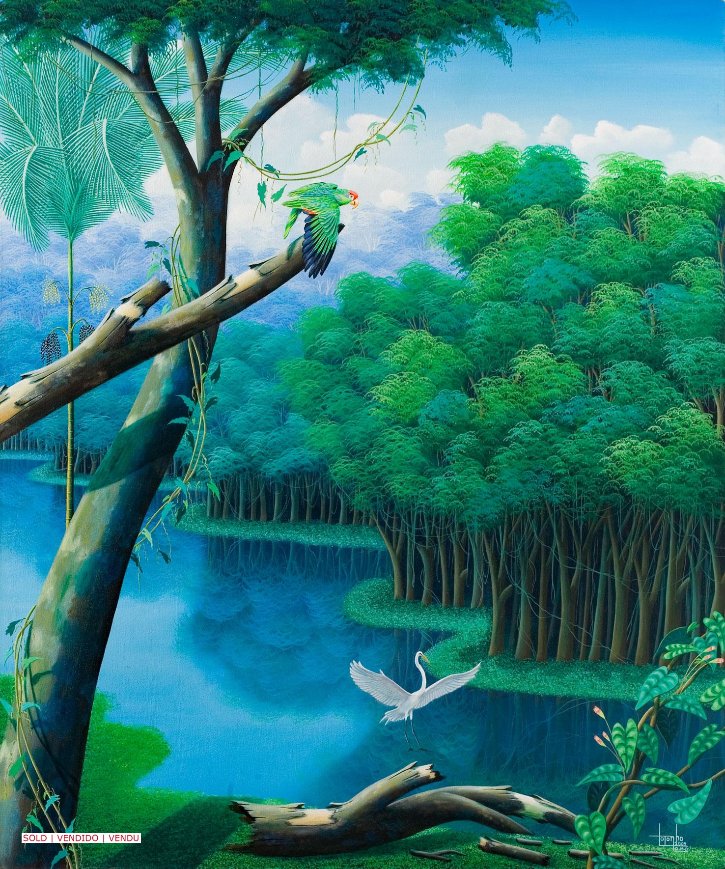 Brazilian rain-forest, parrot, palm trees, landscape. river, painting by Totonho